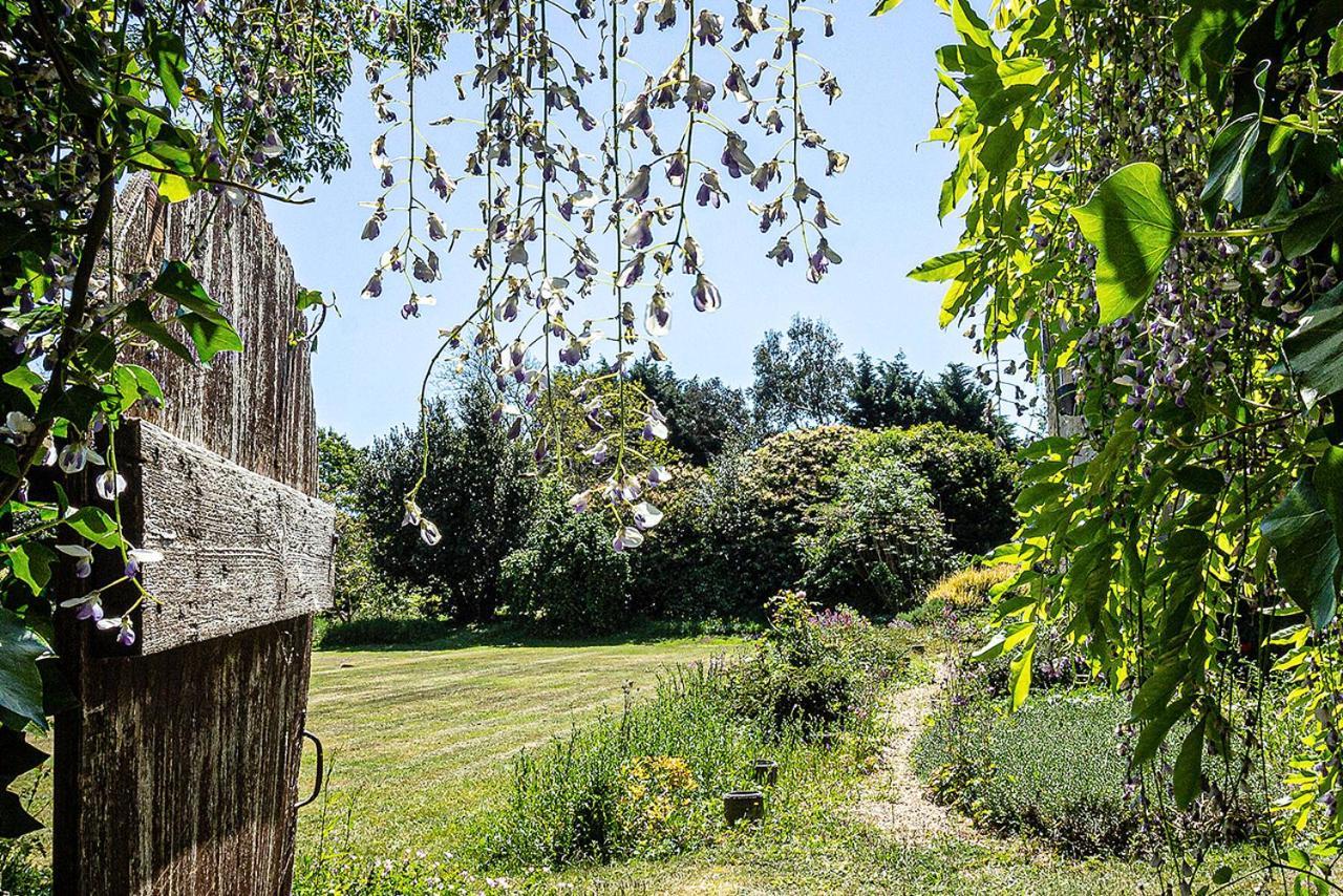 Cosy Wolf Bed & Breakfast Freshwater Esterno foto